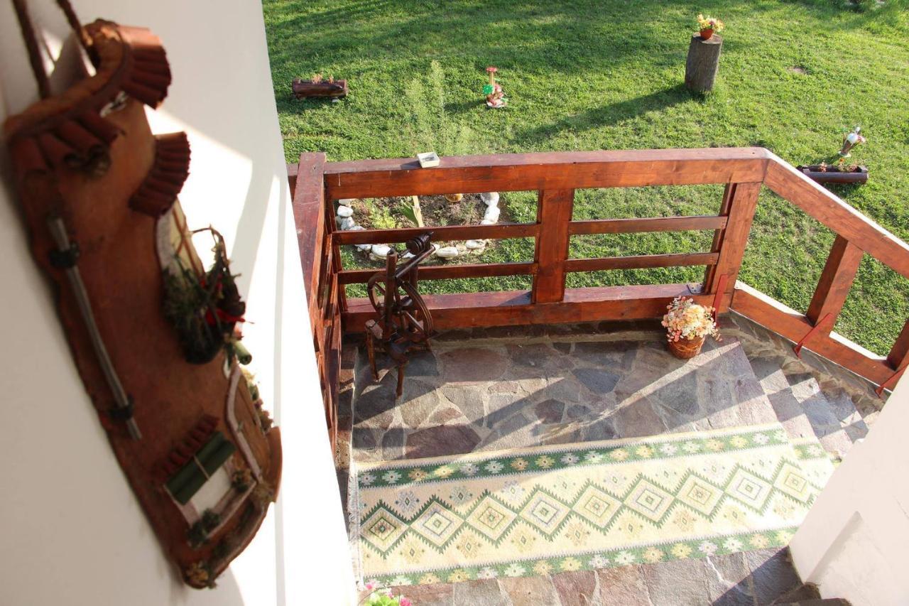 Pensiunea Nituca مويزي المظهر الخارجي الصورة