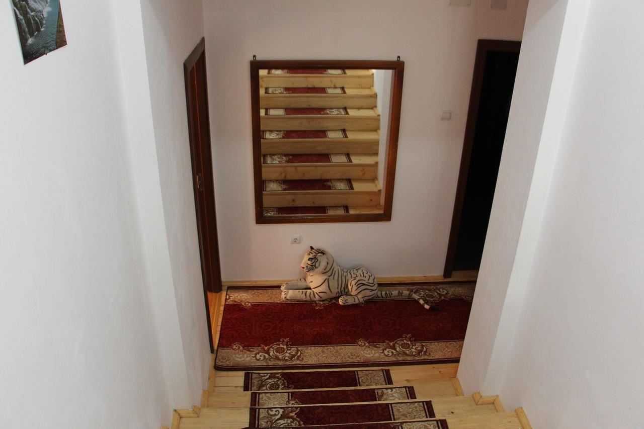 Pensiunea Nituca مويزي المظهر الخارجي الصورة