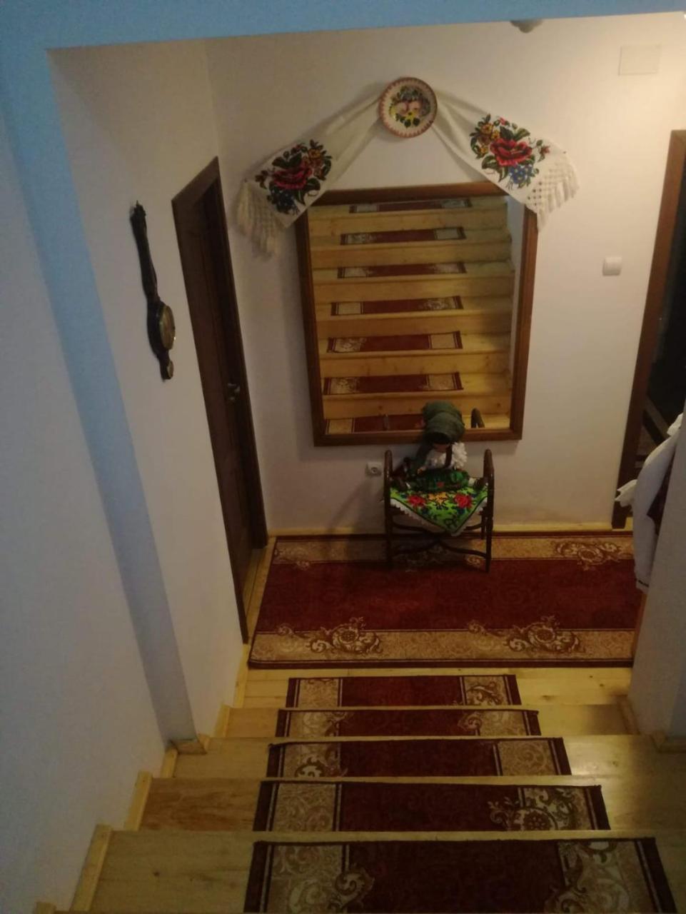 Pensiunea Nituca مويزي المظهر الخارجي الصورة